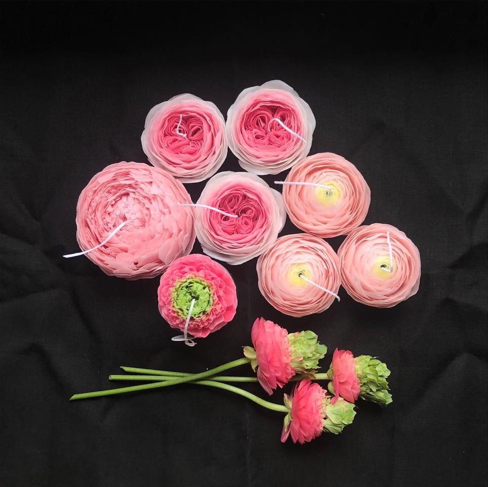 Romantica Rose - Pink