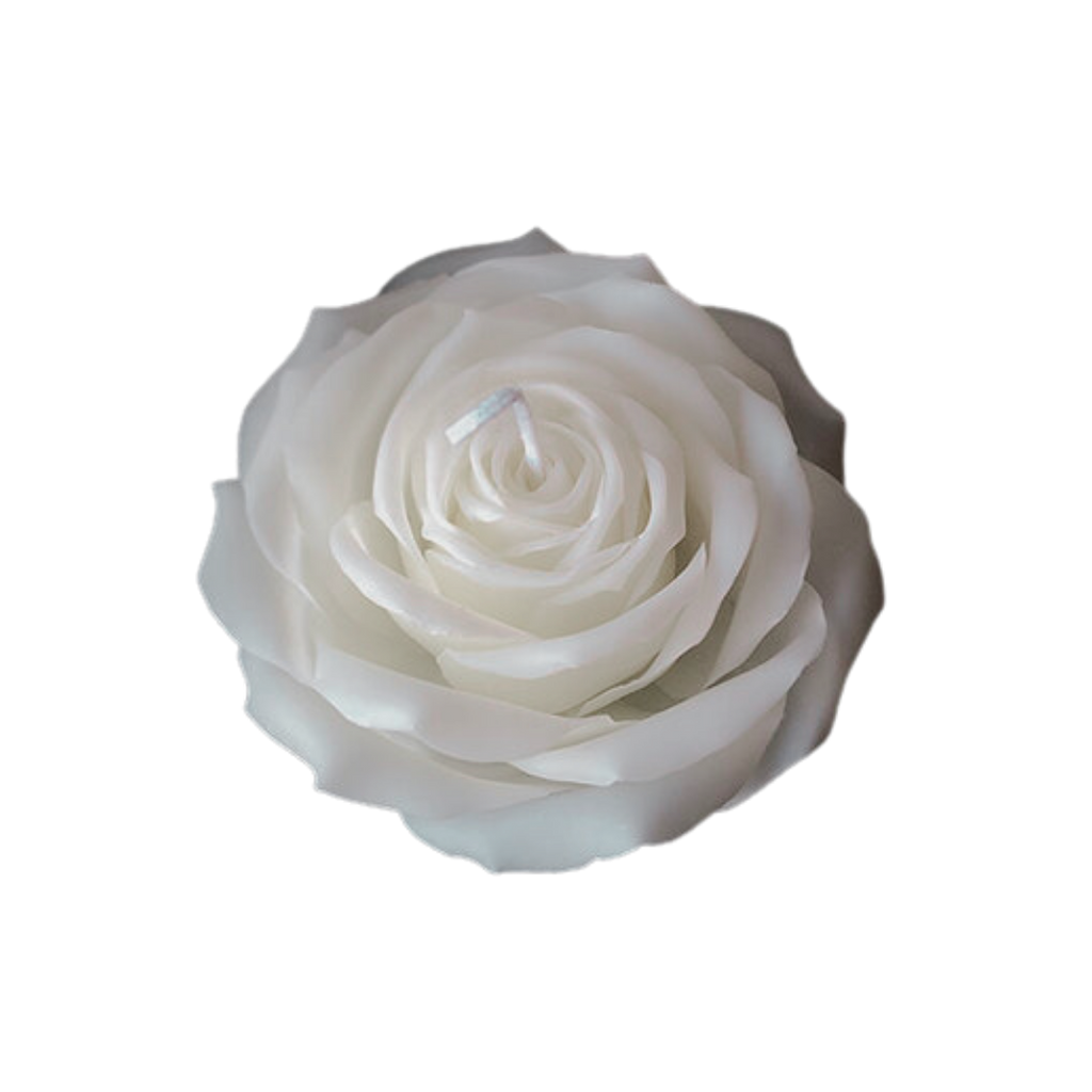 English Rose - White