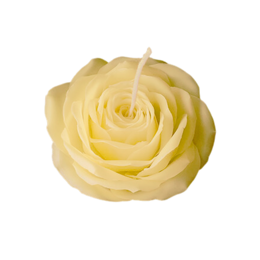 English Rose - Yellow