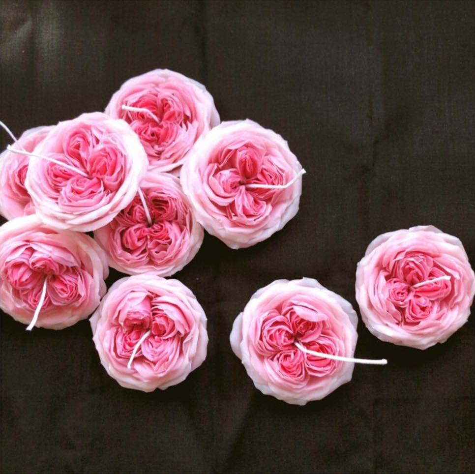 Romantica Rose - Pink