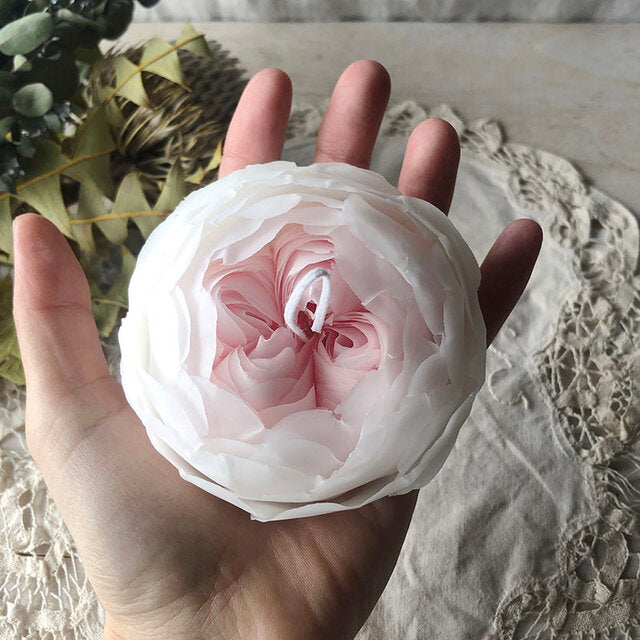 Romantica Rose - White